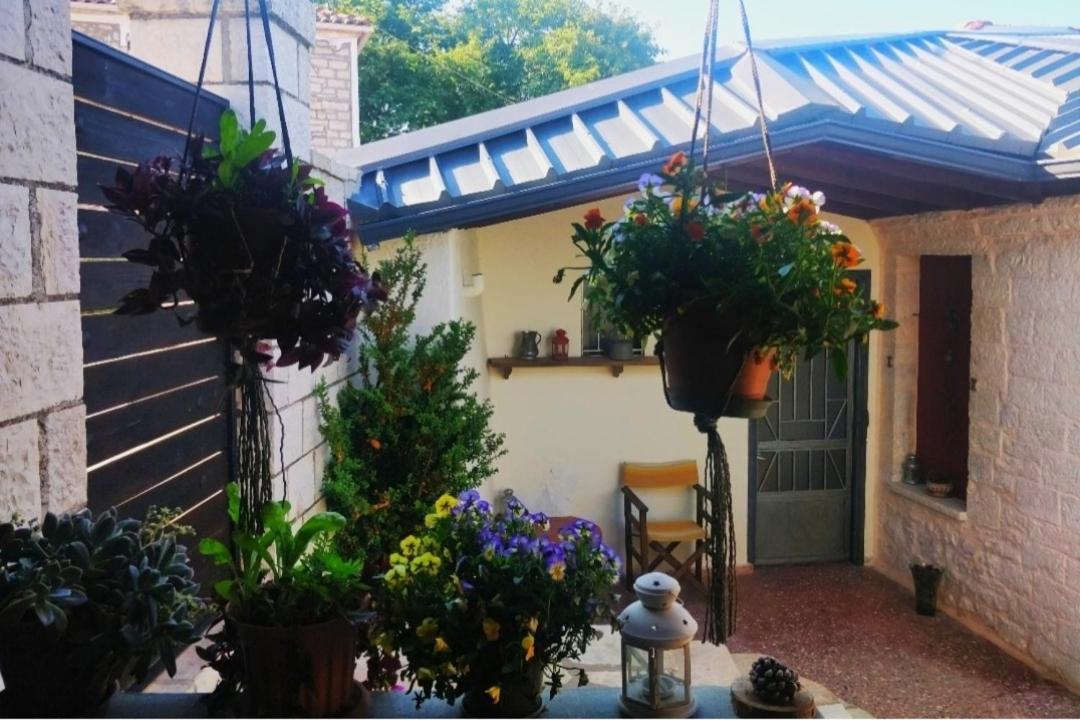 The Traditional Greek House Ioannina Eksteriør billede